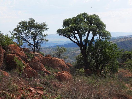 Reserva Natural Klipriviersberg